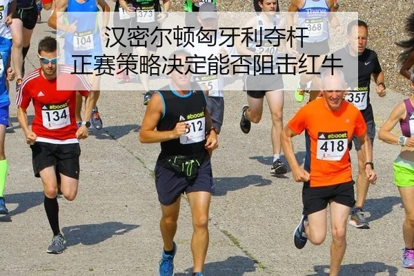 汉密尔顿匈牙利夺杆 正赛策略决定能否阻击红牛